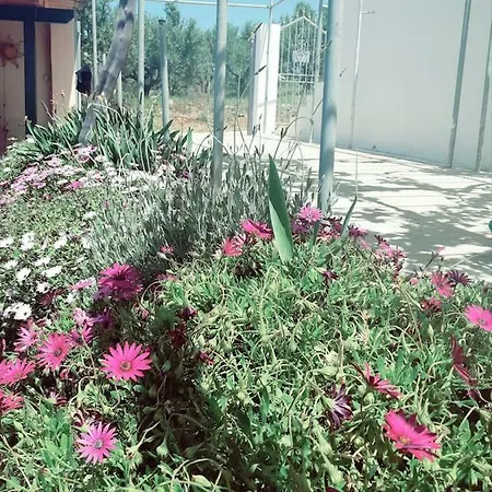 Holiday home Freedom